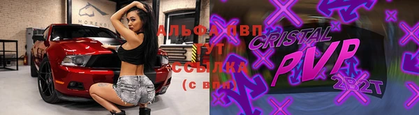 прущие крисы Алзамай