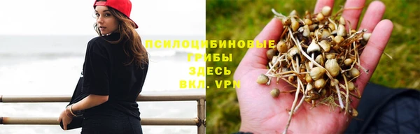 прущие крисы Алзамай