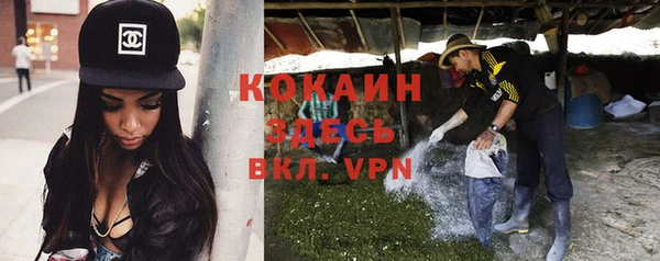 стаф Алексеевка